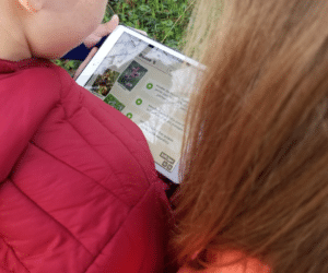 Mission foret connectée