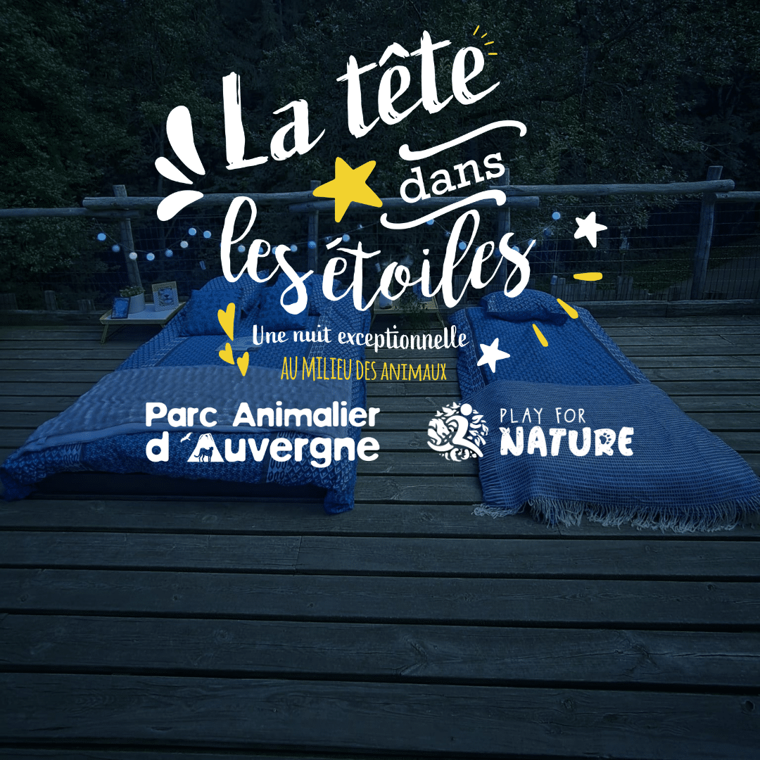 La tête dans les étoiles 2025