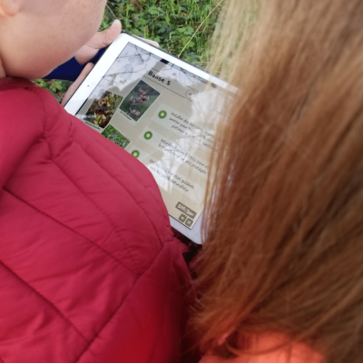 Design sans titre (21)